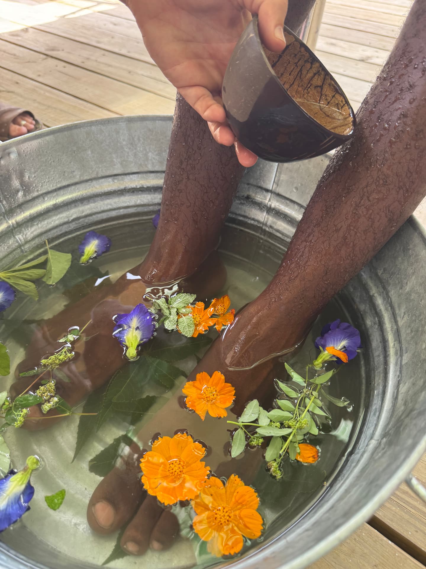Herbal foot bath with fresh flowers and leaves poured during a treatment