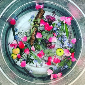 Qualities in Nature- Elements - 10 Pairs of Opposites