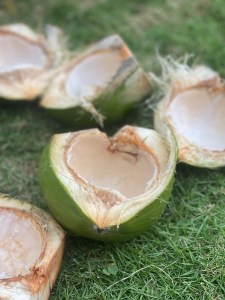 coco apple oats 