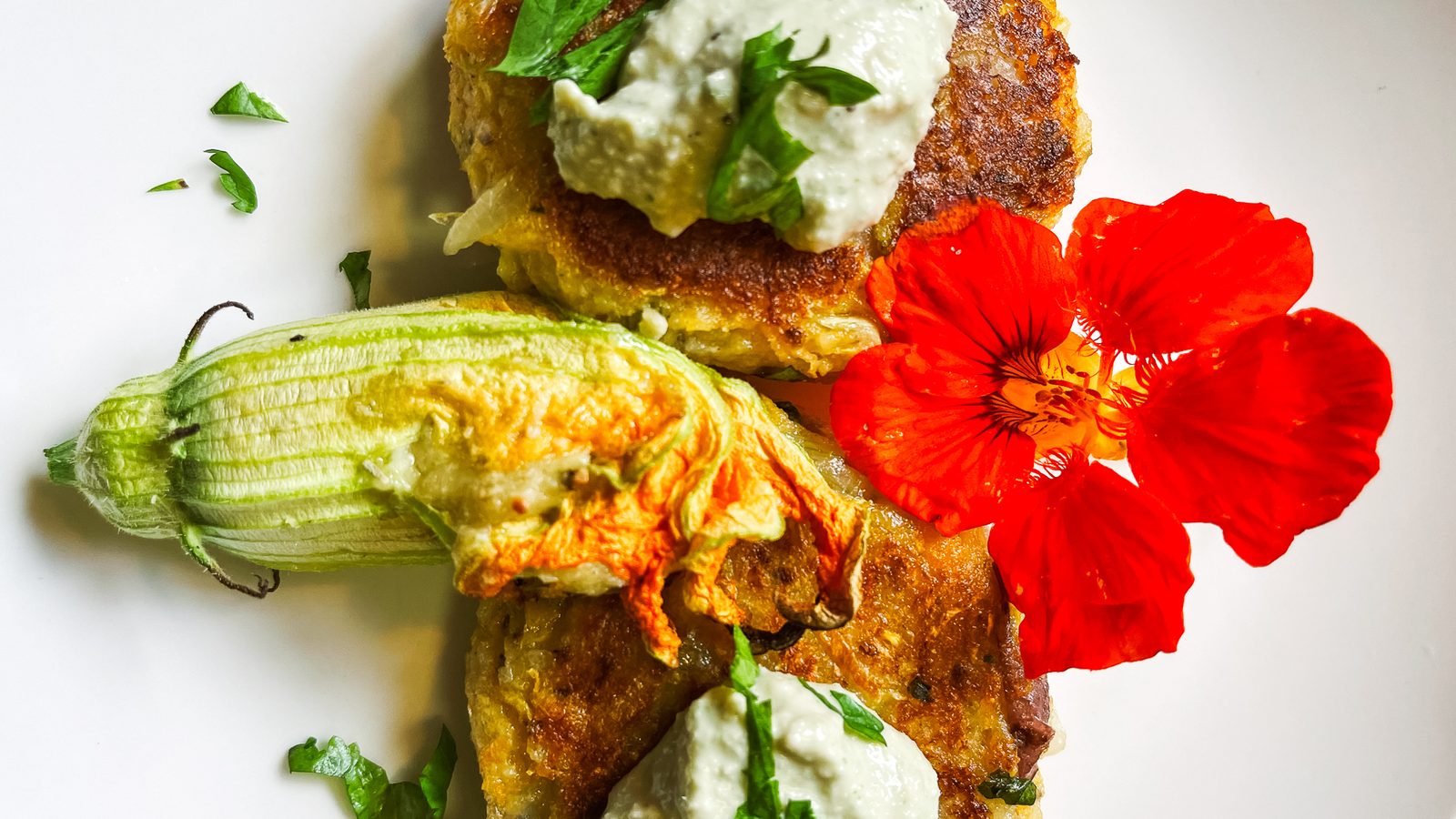 Summer Squash Fritters