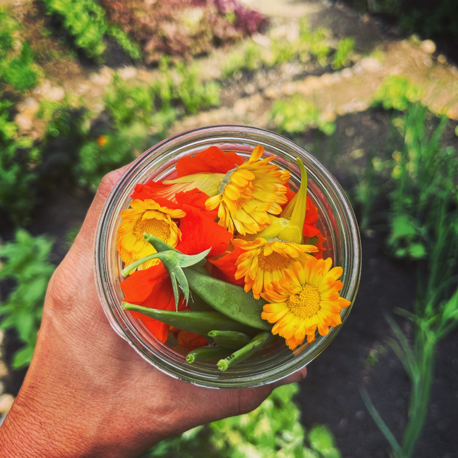 Pitta Dosha Diet