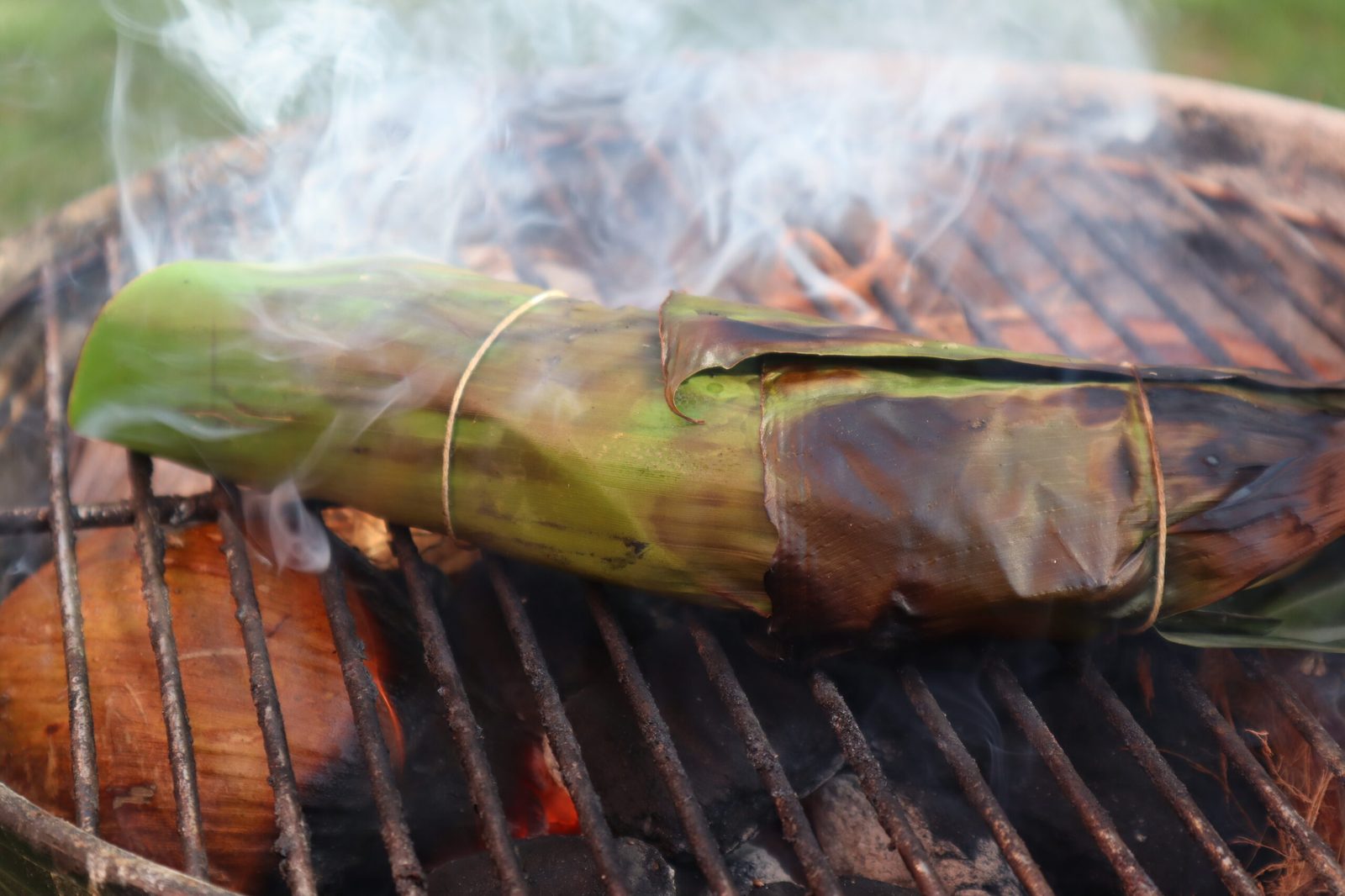 Summer BBQ Without the Burn