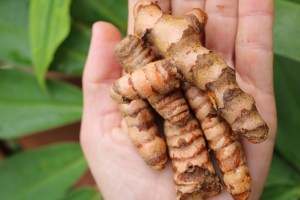 Turmeric Digestive Chutney