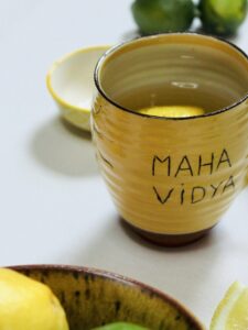 Ayurveda-Aide