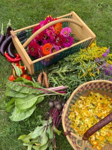 pitta dosha diet