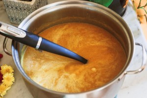 ayurveda and mushrooms; ayurveda psilocybin
