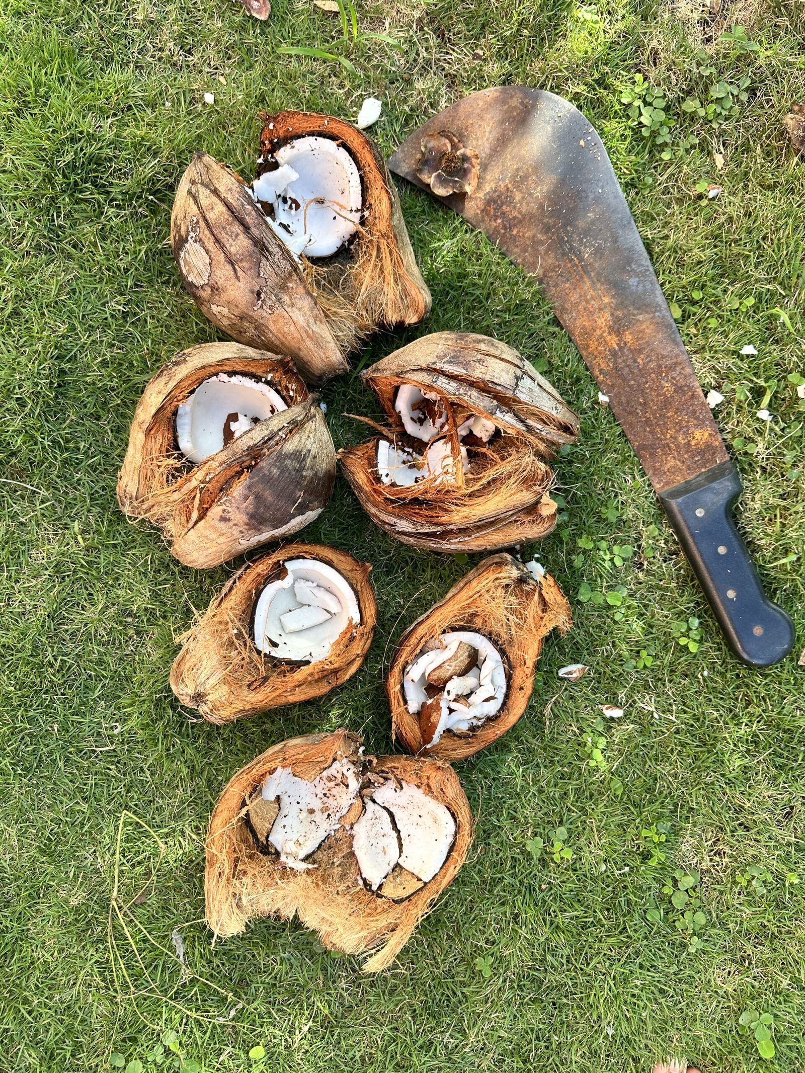 DIY Coconut Milk