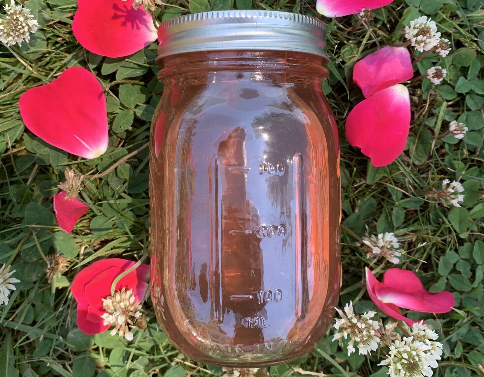 How to Make Rose Water