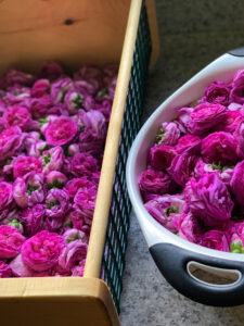 Rosebaskets