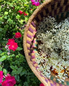 pitta dosha diet