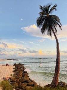 IMG_7976-1