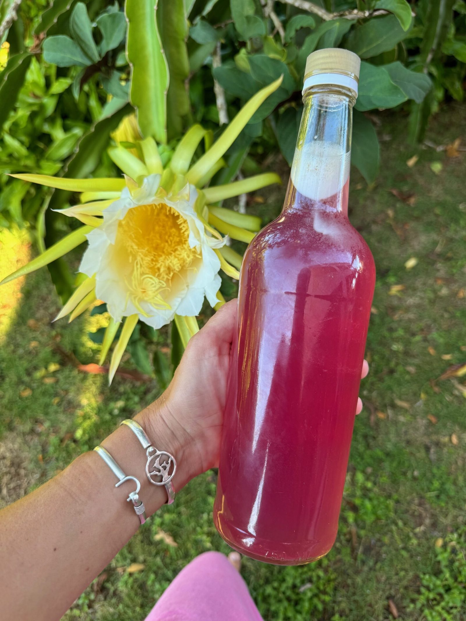 Ayurvedic cooling drinks